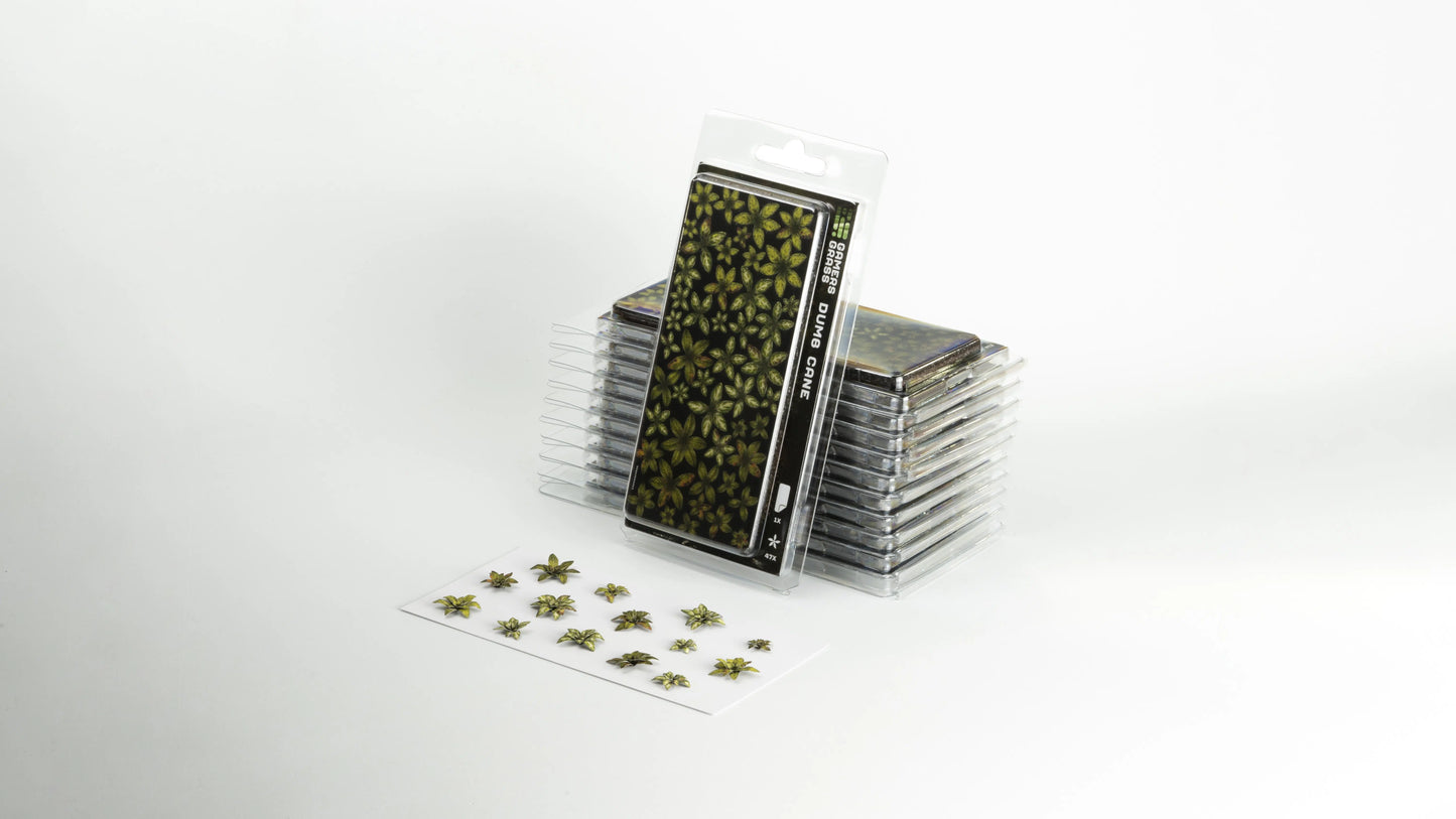 Gamers Grass - Dumb Cane