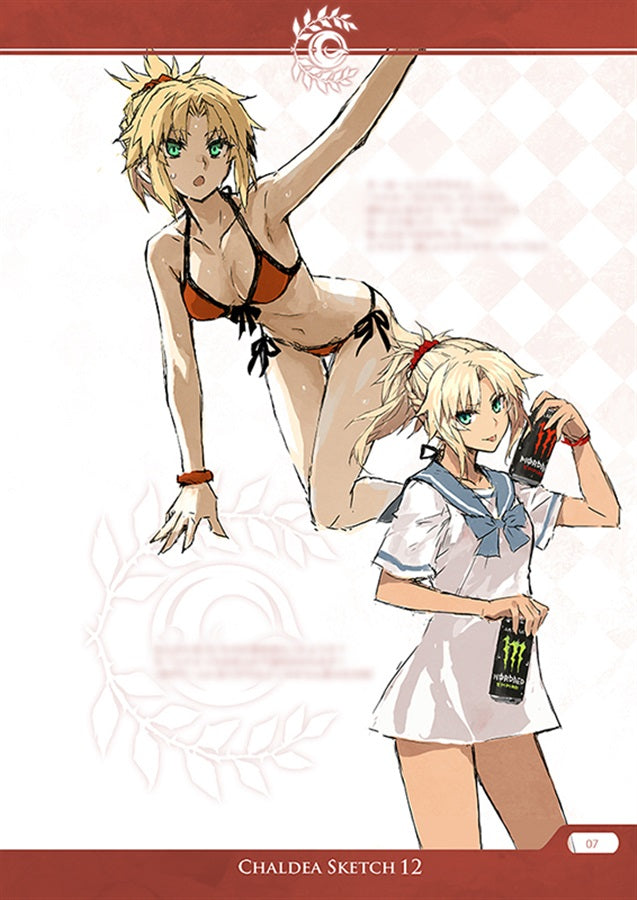 Artbook: Fate/Grand Order - Closet Child Chaldea Sketch 12