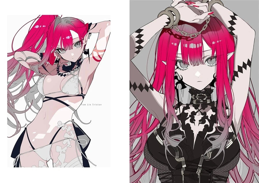 Artbook: Fate/Grand Order - ZENN by Kei Mochizuki