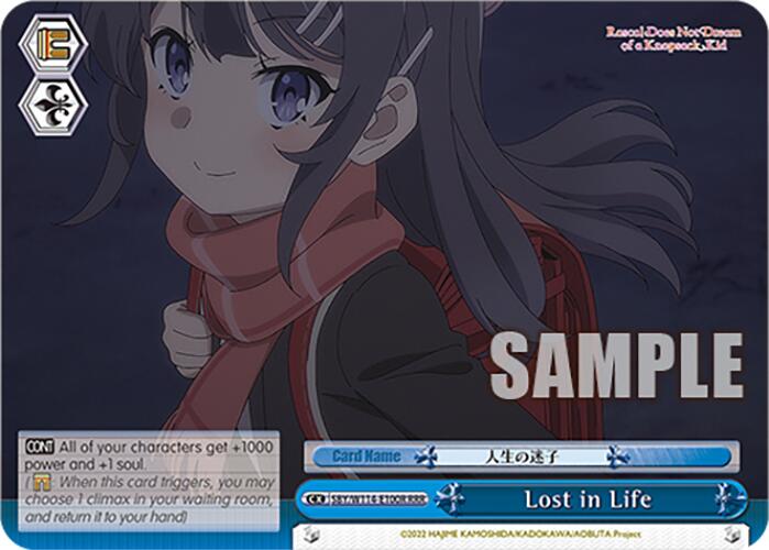 Lost in Life