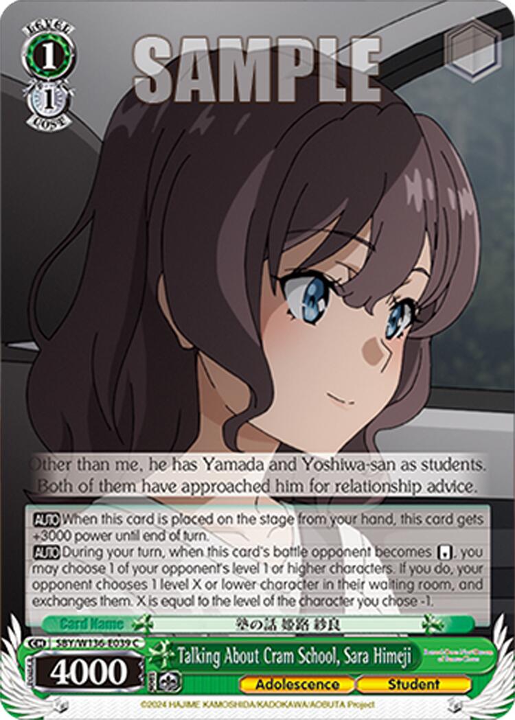 Talking About Cram School, Sara Himeji