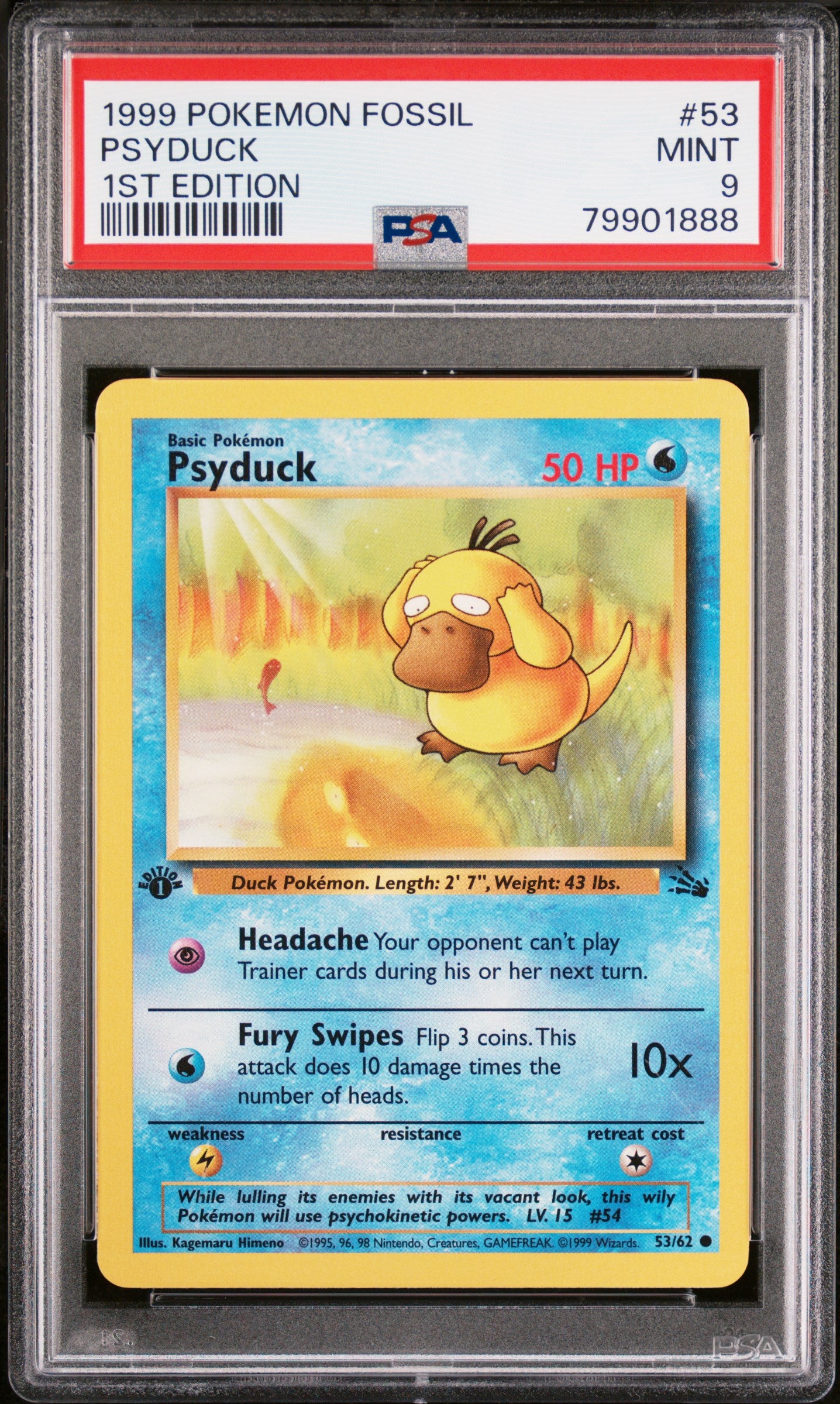 Graded Pokemon - Psyduck (53/62) Fossil 1st Edition PSA 9