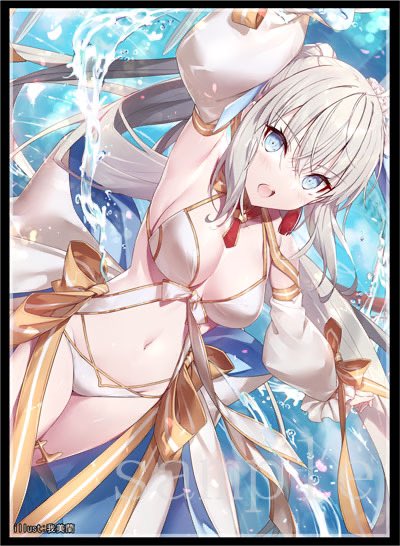 TCG Sleeves - Fate/Grand Order - Morgan (C)
