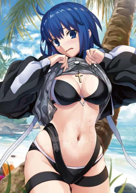 TCG Sleeves - Fate/Grand Order - Ciel