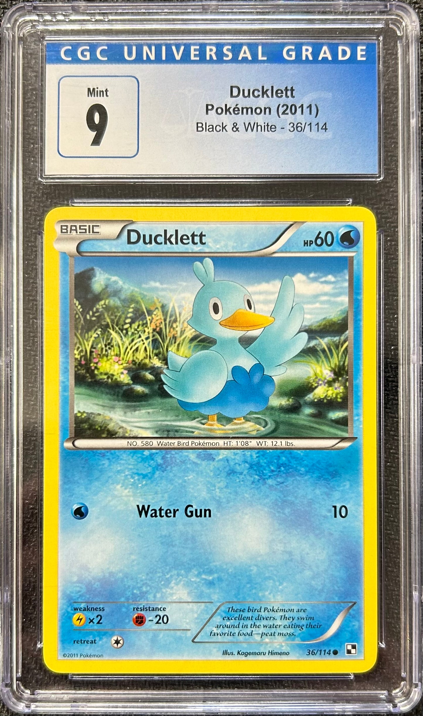 Graded Pokemon - Ducklett (36/114) Black & White CGC 9