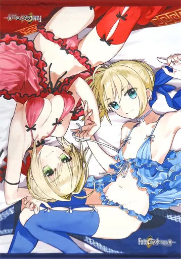 Type-Moon : Fate/Extella Sotfmap/Wada Arco - Nero Claudius (B2 Tapestry)