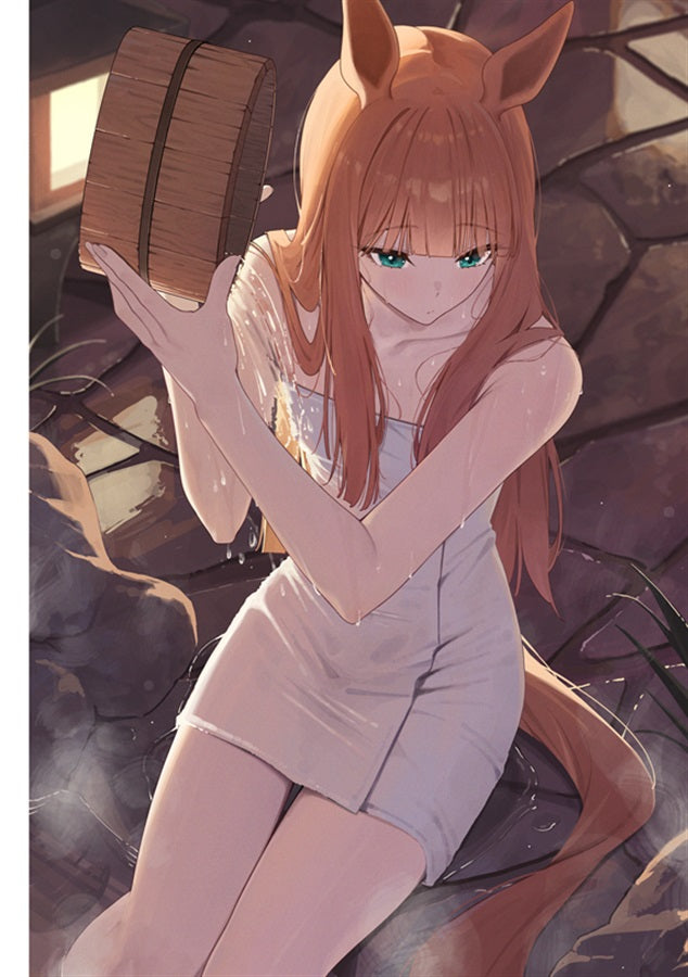 Artbook: Umamusume - Tinted with Silver (Playing Human) includes extra book
