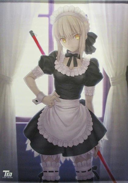 Type-Moon : Comiket 91 - Saber Alter (B2 Tapestry)