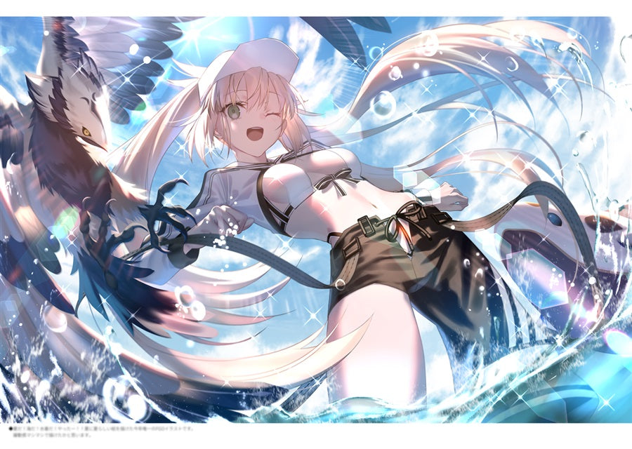 Artbook: Fate/Grand Order - Saki Mashima/White Island Fate Colors VI