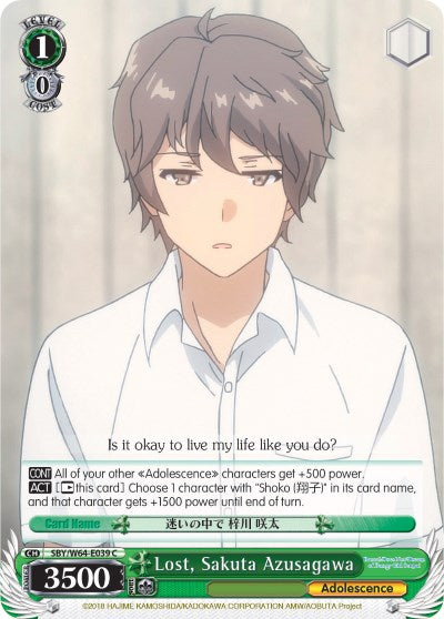 Lost, Sakuta Azusagawa