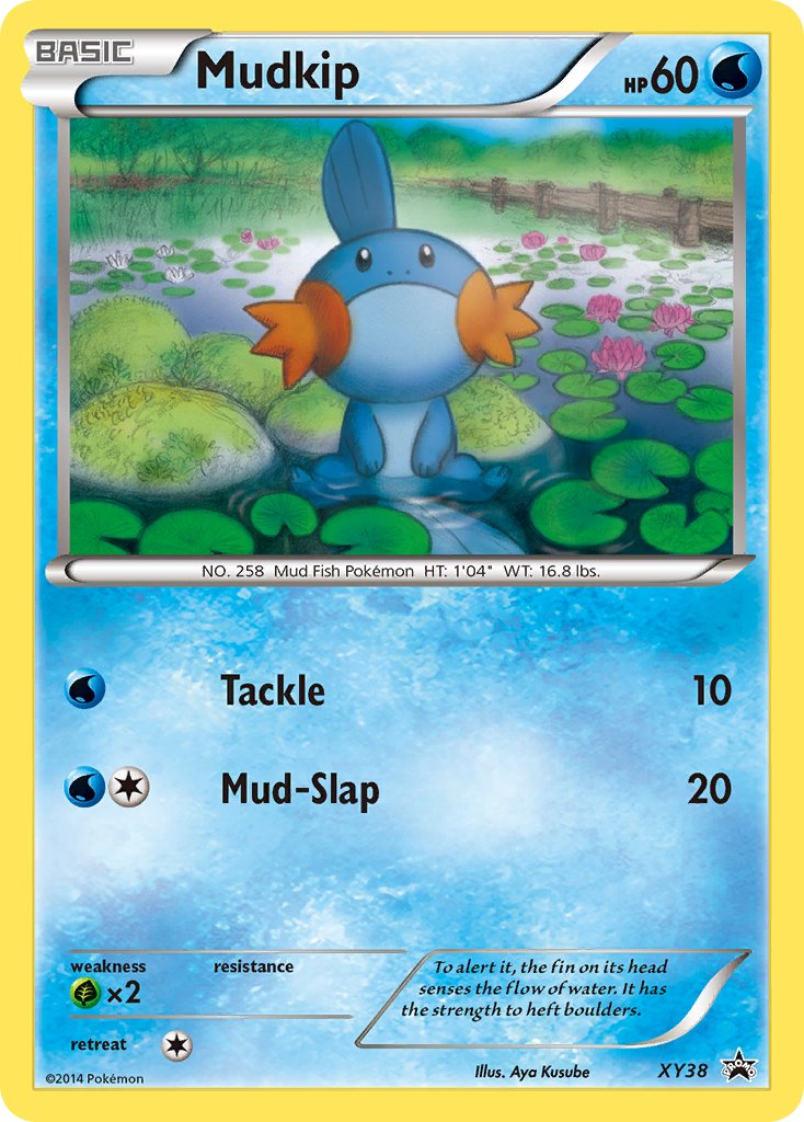 Mudkip (XY38) [XY: Black Star Promos]