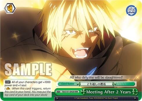 Meeting After 2 Years [That Time I Got Reincarnated as a Slime Vol.3]