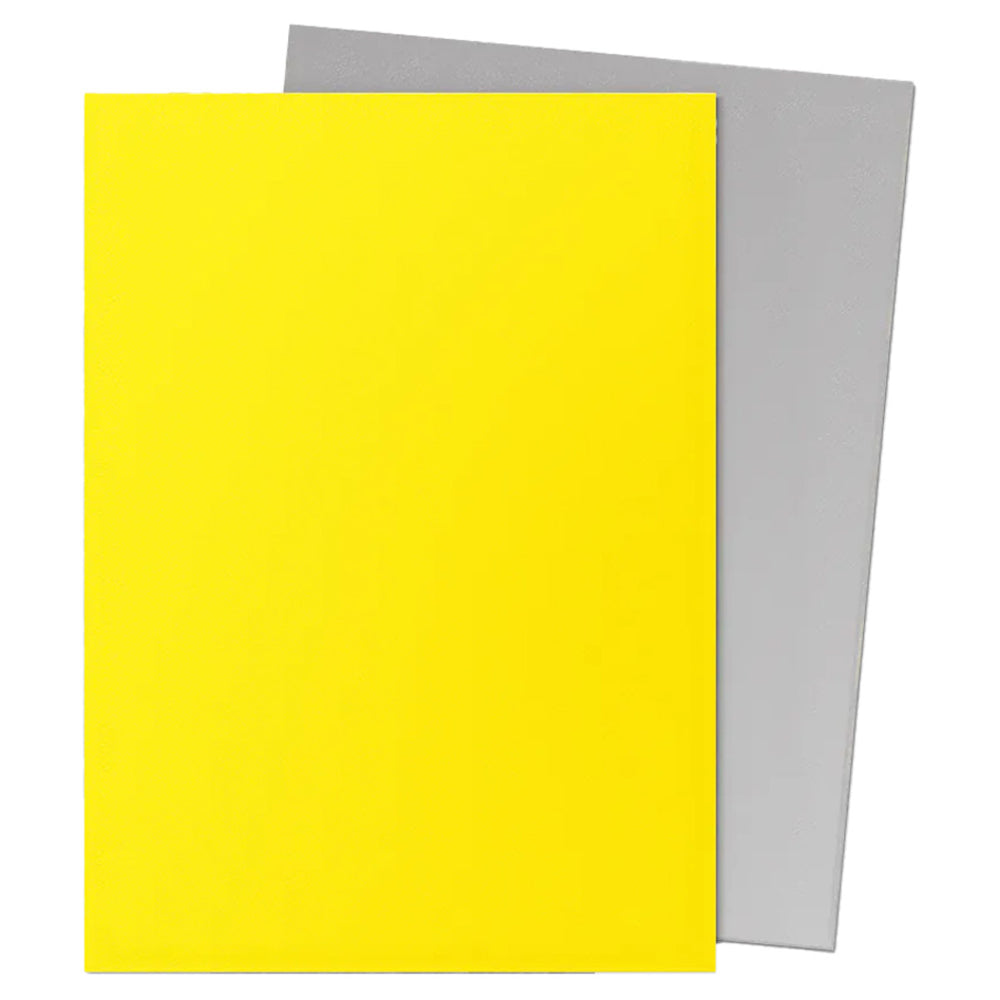 Dragon Shield Sleeves: Standard DUAL - Matte Yellow & Silver