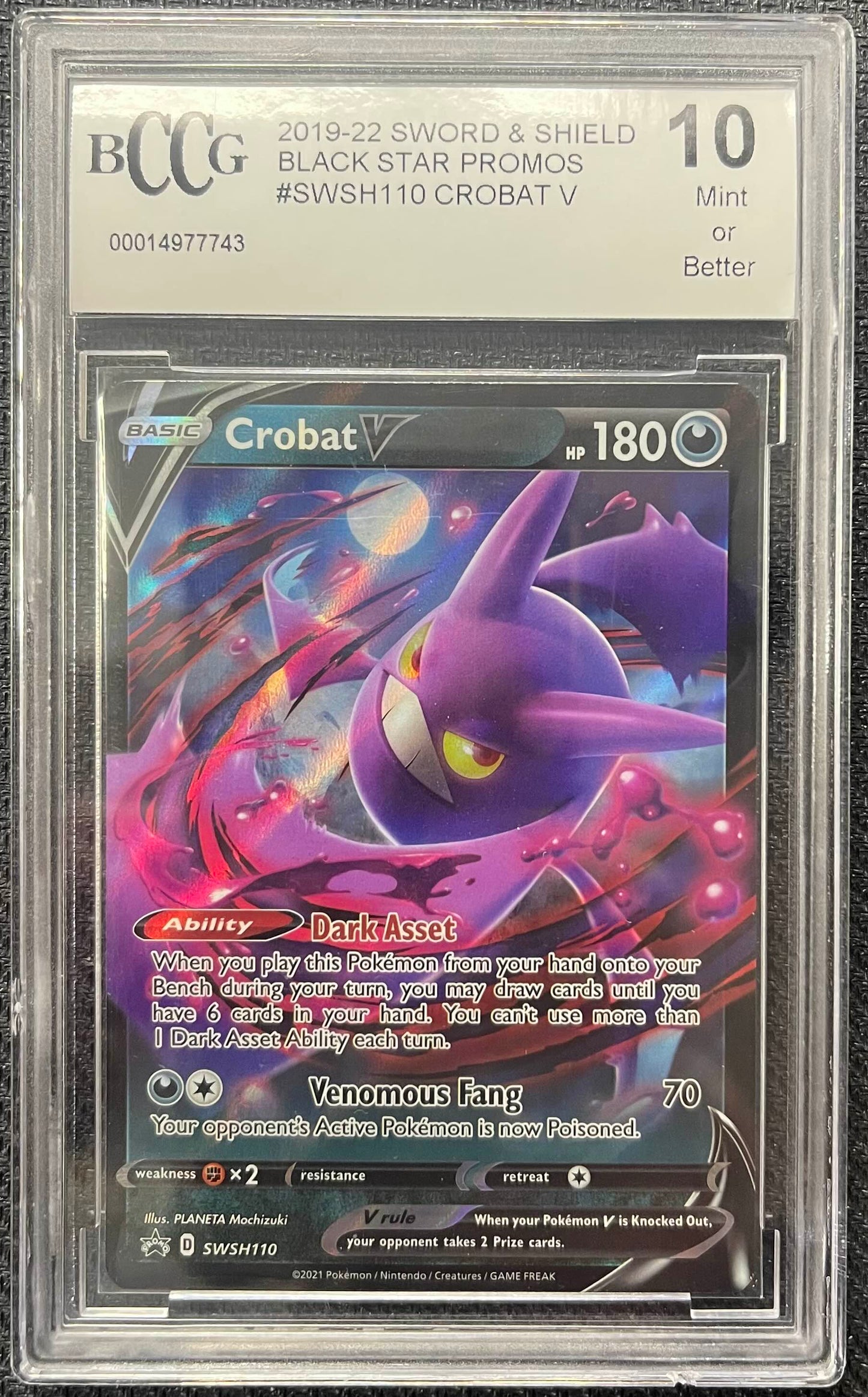 Graded Pokemon - Crobat V (SWSH110) Black Star Promo BCCG 10