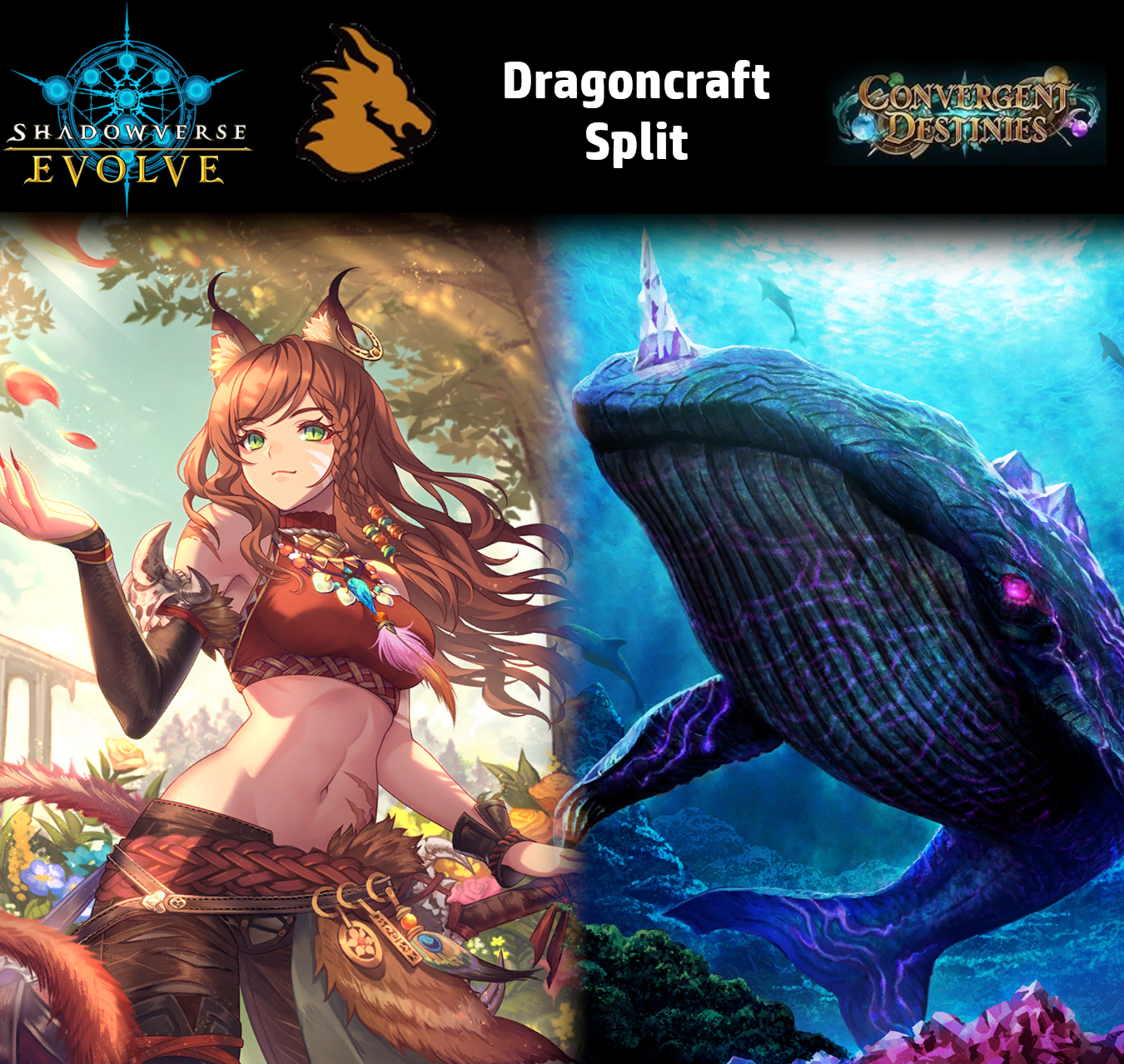 Shadowverse Evolved: Dragoncraft Split - BP17 Convergent Destinies