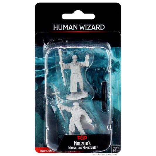 D&D - Unpainted: Human Wizard Male