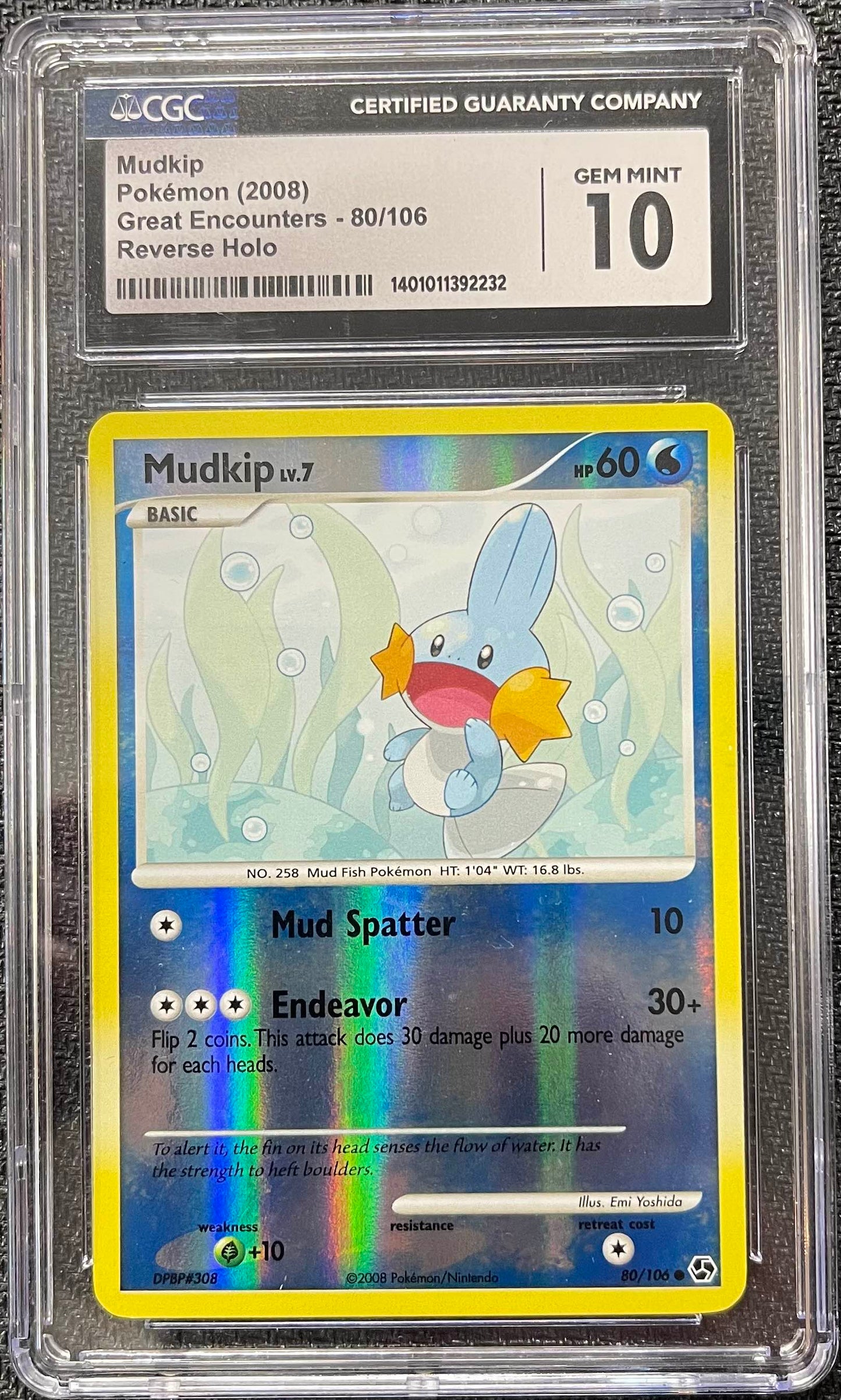 Graded Pokemon - Mudkip (80/106) Great Encounters Reverse CGC 10