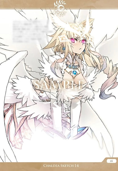 Artbook: Fate/Grand Order - Closet Child Chaldea Sketch 14