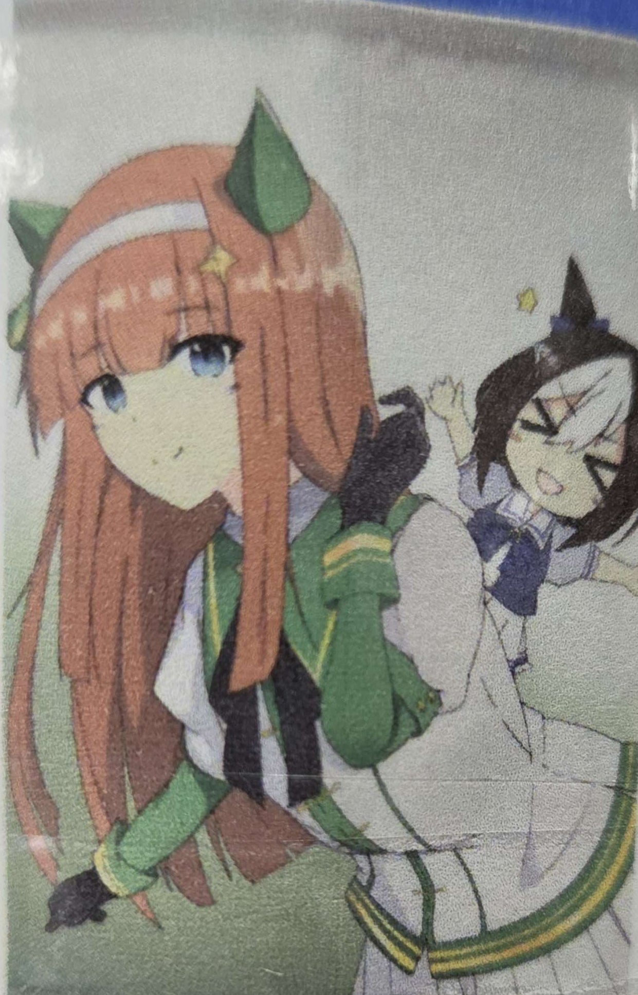 Umamusume : Silent Suzuka + Special Week (B2 Tapestry)
