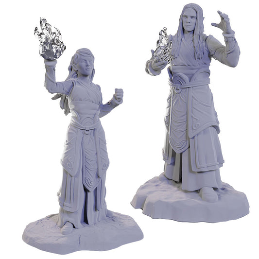 D&D - Unpainted: Elf Wizards