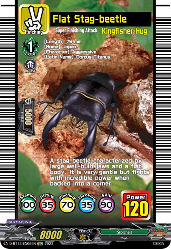 Flat Stag-beetle (D-BT13/EX08EN) [Flight of Chakrabarthi]